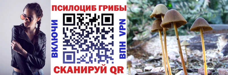 цена   Кириши  Галлюциногенные грибы мицелий 