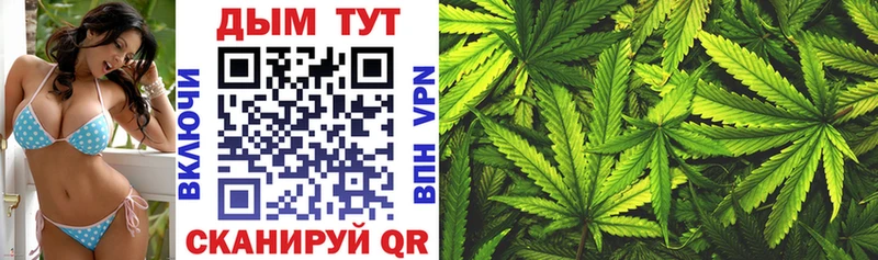 Каннабис SATIVA & INDICA Кириши